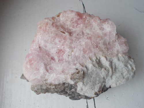 DSCN1024.jpg