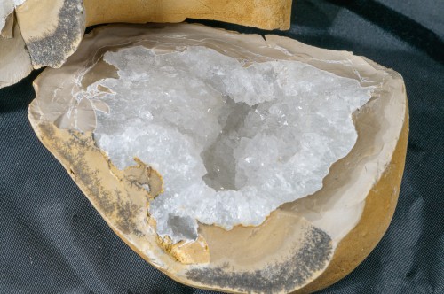 PEF_7391.jpg