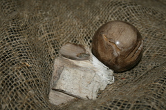 farmukan-50.jpg