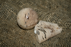 farmukan-54.jpg