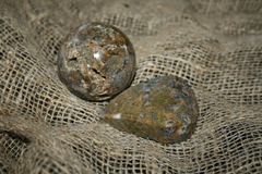 farmukan-59.jpg