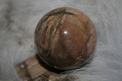 farmukan-90.jpg