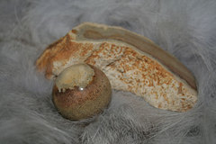 farmukan-104.jpg