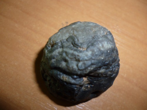 P1010799.JPG