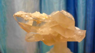 DSC06773.jpg