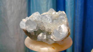 DSC06775.jpg
