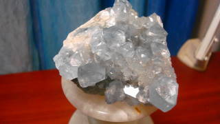 DSC06776.jpg