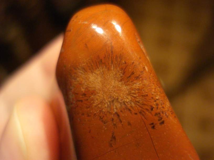 15 005_thumb.jpg