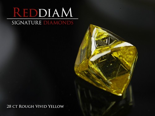 SigDia_rough_yellow.jpg