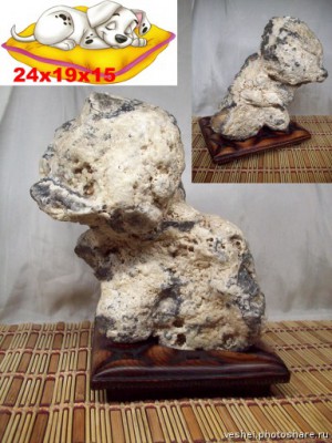20101221083611031.jpg