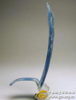 2010123014213.jpg