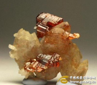 20101230145114.jpg
