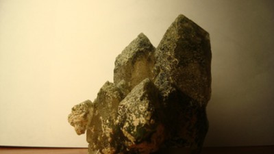 DSC06903.JPG