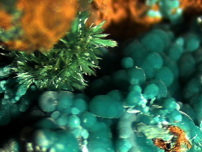 2008319122214786.jpg