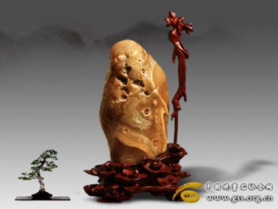 qiuyihen010.jpg