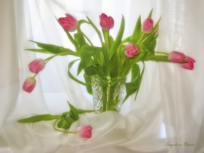 ngtybu_cont.jpg (268.44 КБ) 24780 просмотров ngtybu_cont.jpg