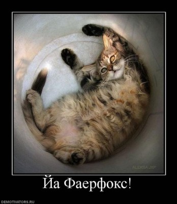 котя-фаерфоркс.jpg