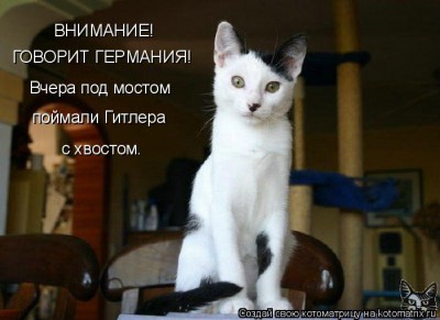 0_1cfc0_20cfc4c7_XL[1].jpg