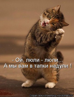 a2aa434a7b2f[1].jpg