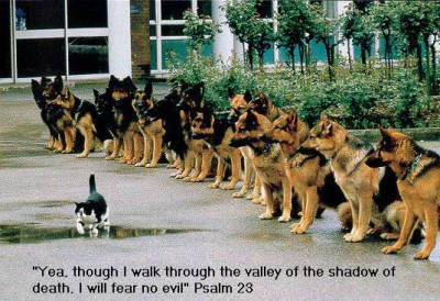 SelfConfidence (2).jpg