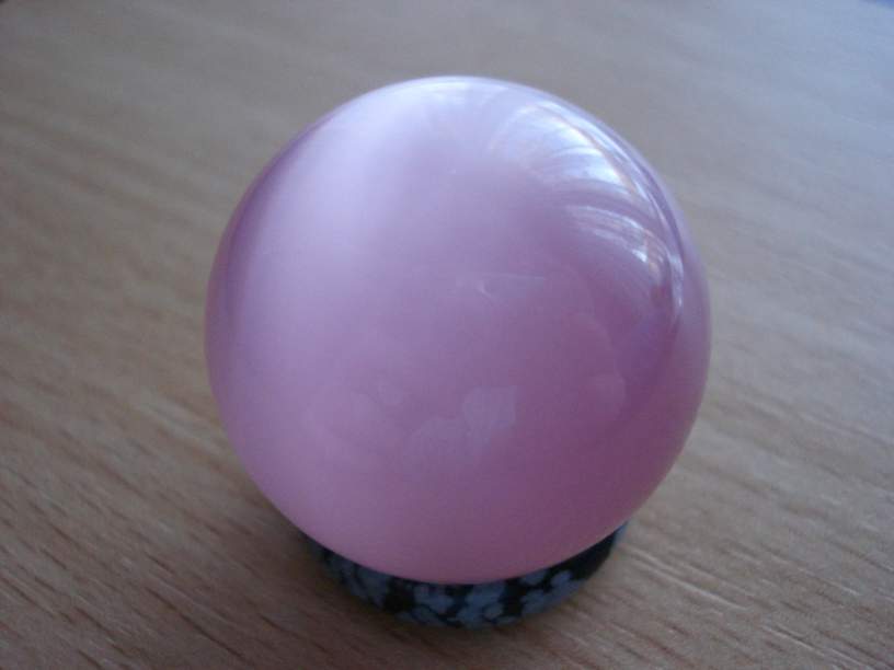 2010 019_thumb.jpg