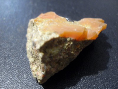 SDC10375.JPG