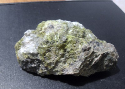 SDC10421.JPG