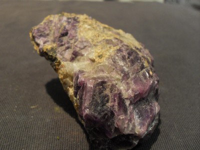 SDC10476.JPG