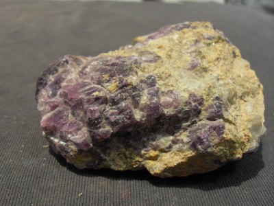 SDC10477.JPG