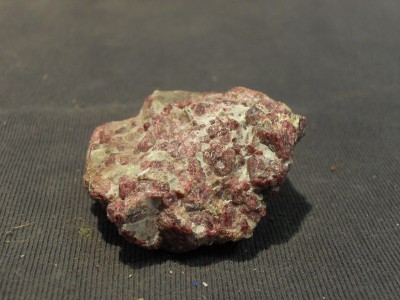 SDC10485.JPG