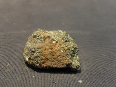 SDC10492.JPG