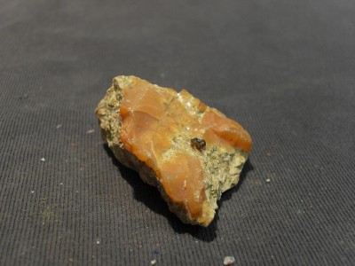 SDC10510.JPG