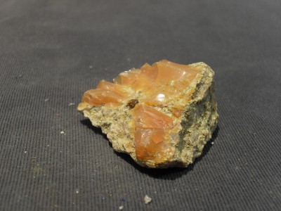 SDC10511.JPG