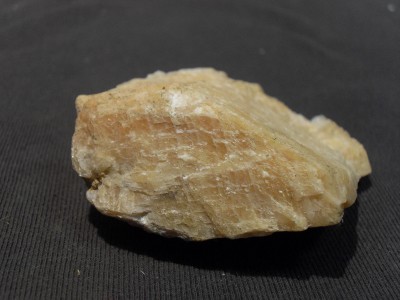 SDC10518.JPG