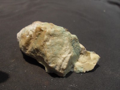 SDC10526.JPG
