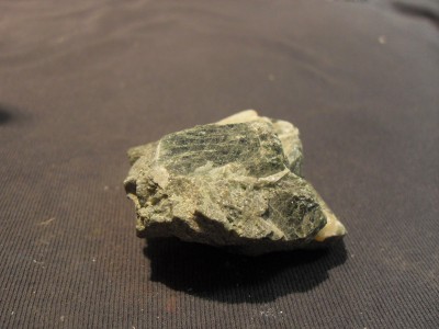 SDC10530.JPG