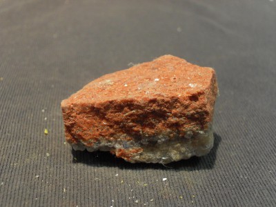 SDC10559.JPG