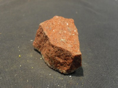 SDC10560.JPG
