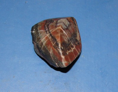 DSC09640.JPG