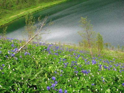 0_434c8_a1061574_XL.jpg