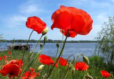 0_646bb_315c838d_XL.jpg