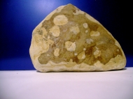 DSC01868.jpg