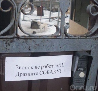 сск1.jpg