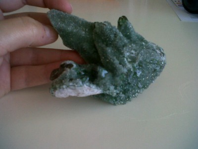 IMG01053-20120601-1640.jpg