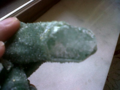 IMG01059-20120602-1739.jpg