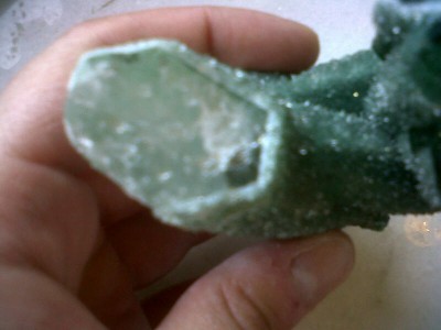 IMG01056-20120602-1737.jpg
