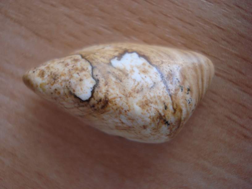 Kamenj 014_thumb.jpg