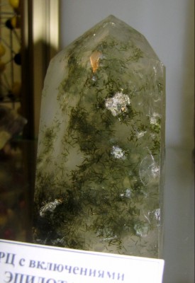 m-Q_7_3133_Epid.jpg