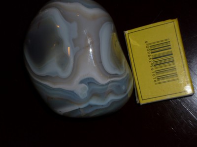 P1000200.JPG