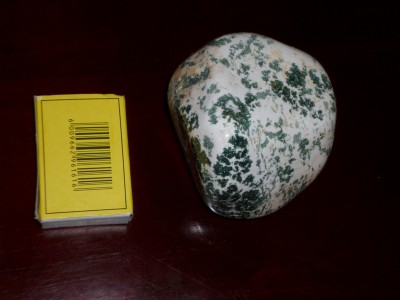 P1000195-001.JPG